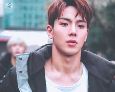 Both MONSTA X Shownu and BTS Jimin appear to be great dancers