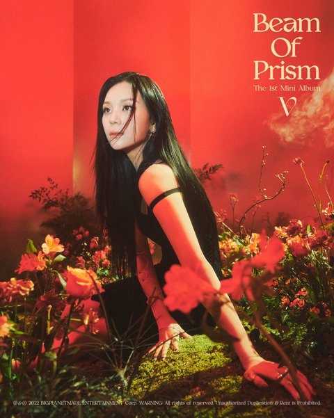 Concept Photos of Viviz Actually are Out!