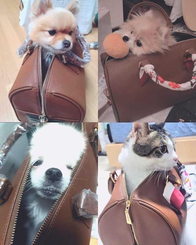 Ko So Young Owns Special Bag Which is created by BTS V