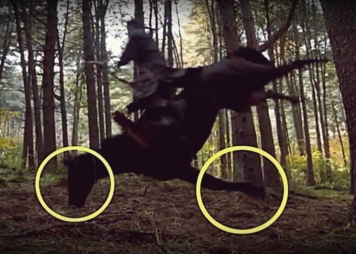 Netizens are angry about death of horse in tv series set &#8216;Taejong of Joseon&#8217;
