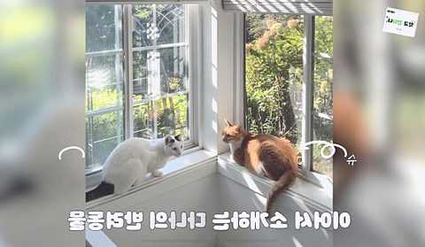 Newbie Girl Group House Which Calls me for a Reality Check