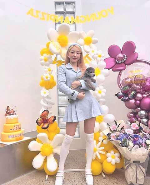 Taeyeon&#8217;s stage clothes