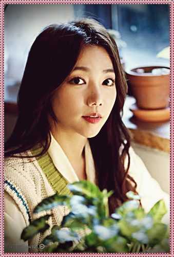Lee Chae Young blamed for different counts of pet deserting