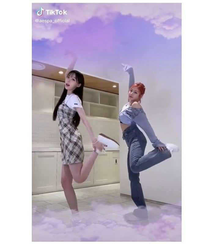 Legend female k-pop idol who is taking take care of her hoobaes