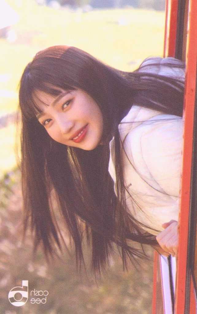 Red Velvet stunned the netizens by their traffic cards