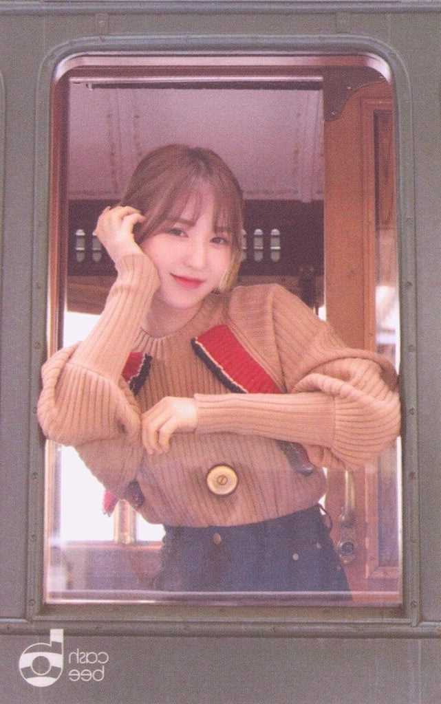 Red Velvet stunned the netizens by their traffic cards