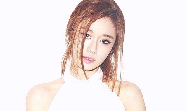 What are the opinions of netizens about T-ara Jiyeon &#038; Hwang Jae Gyun wedding?