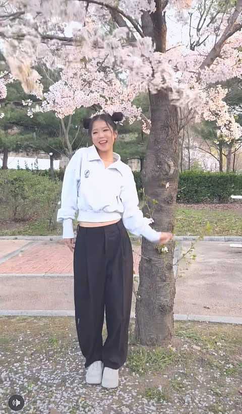 I really believe that those who snap and shake the blossoms from the cherry blossom trees are rude