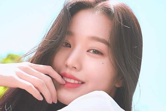 Jang Wonyoung&#8217;s haters paying for hate comments!