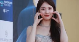 Court fines man 500,000 won for calling Suzy ‘national hotel girl’