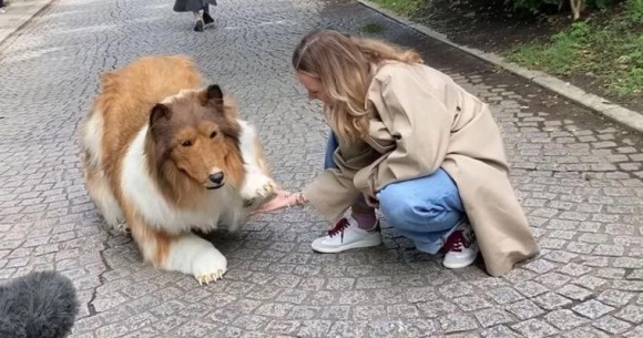 Japanese man achievse lifelong dream of becoming a dog