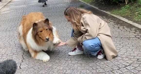 Japanese man achievse lifelong dream of becoming a dog